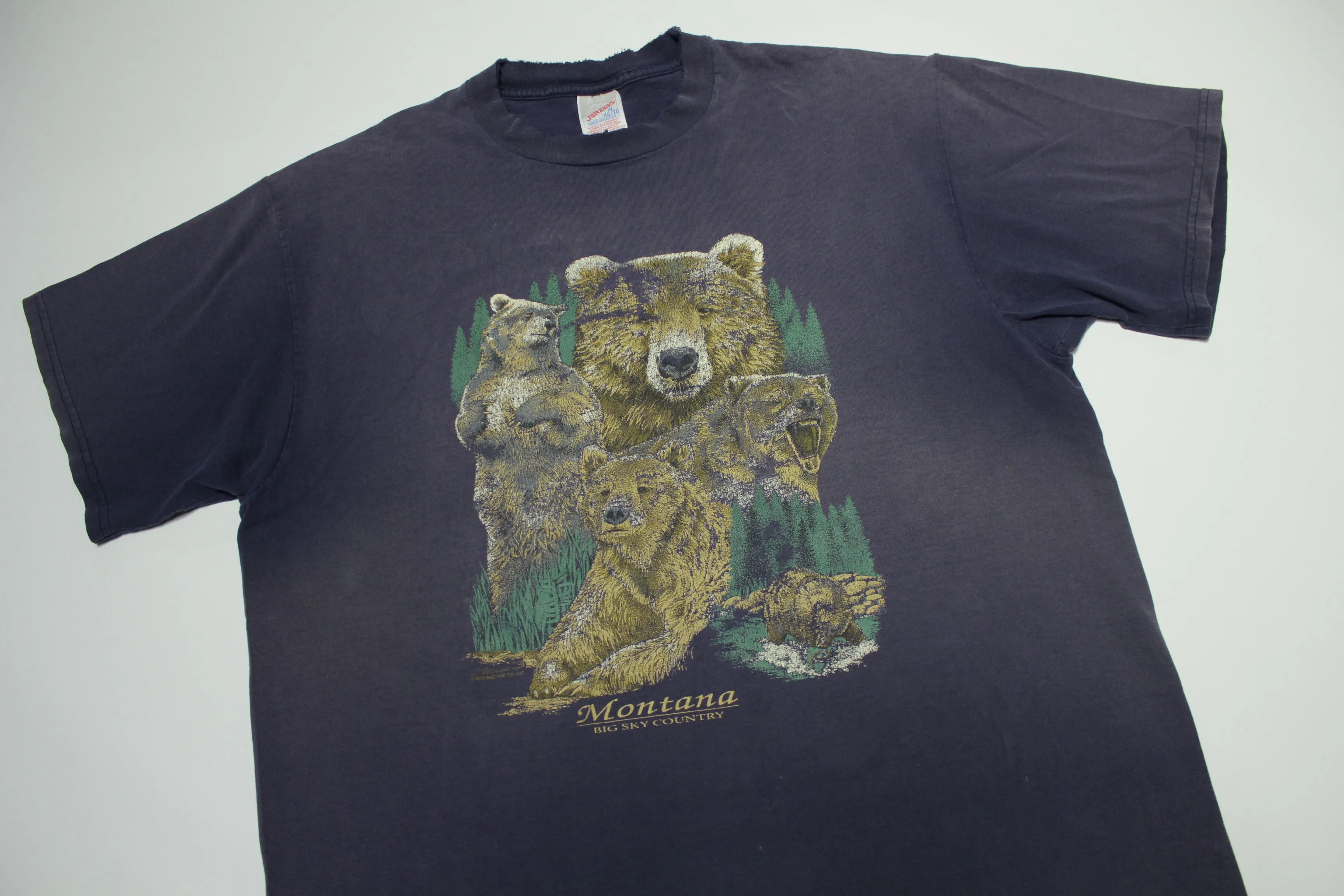 Montana Big Sky Country Vintage 90's Grizzly Bear Wilderness T-Shirt